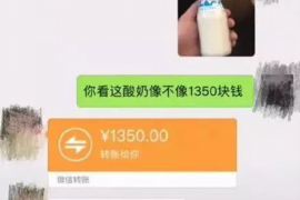 马鞍山为什么选择专业追讨公司来处理您的债务纠纷？